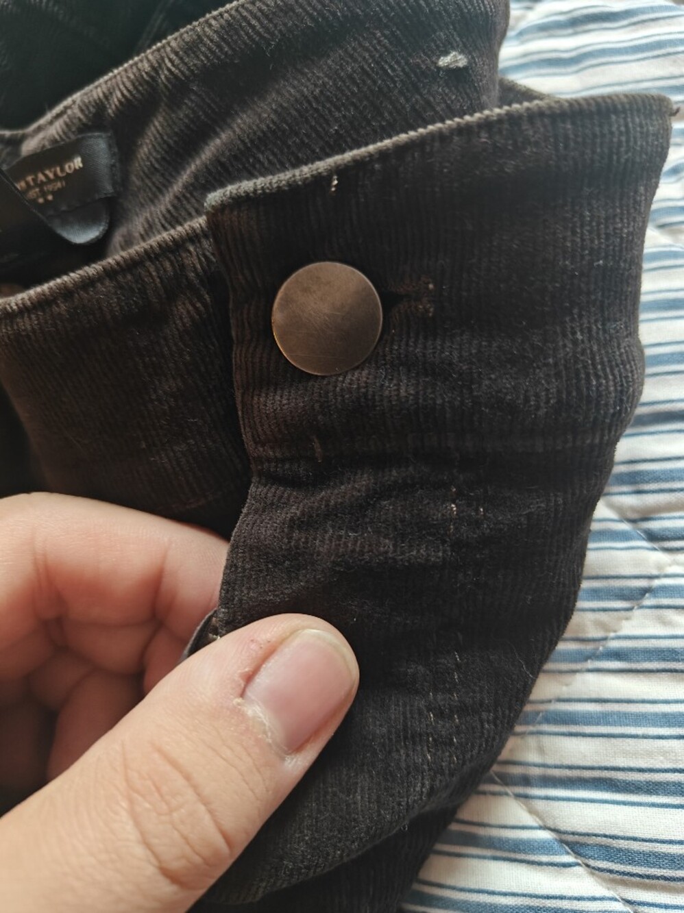Ann Taylor Signature Womens Chocolate Brown Corduroy Pants 12 (Fits 35x31) - Picture 3 of 8